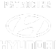 Patrocina Hyundai